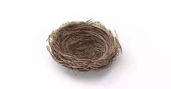 Bird Nest 3D model Low-poly 3D model 3
