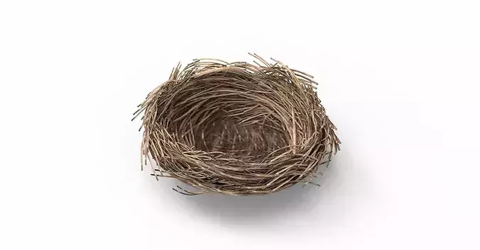 Bird Nest 3D model Low-poly 3D model 6