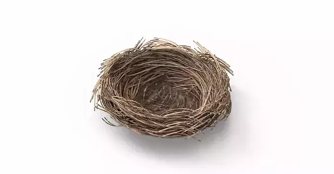 Bird Nest 3D model Low-poly 3D model 5