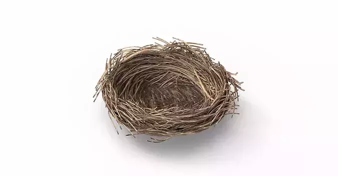 Bird Nest 3D model Low-poly 3D model 7