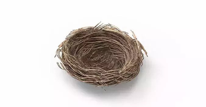 Bird Nest 3D model Low-poly 3D model 4