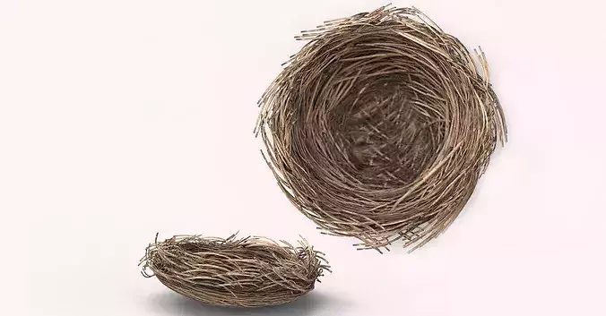 Bird Nest 3D model Low-poly 3D model