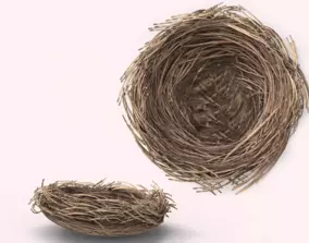 BirdsNest bird nest 3D model | CGTrader