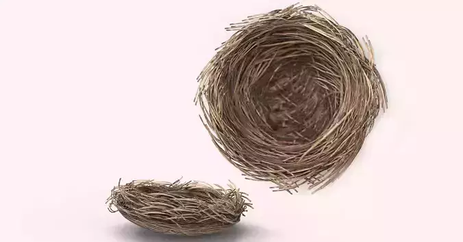 Bird Nest 3D model Low-poly 3D model