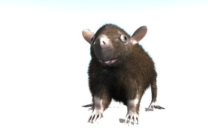 RAT LOWPOLY Low-poly 3D model_8