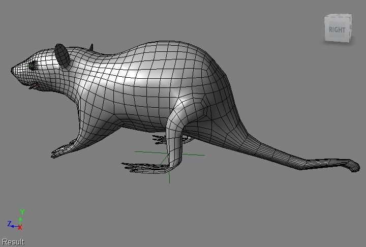 RAT LOWPOLY Low-poly 3D model_14
