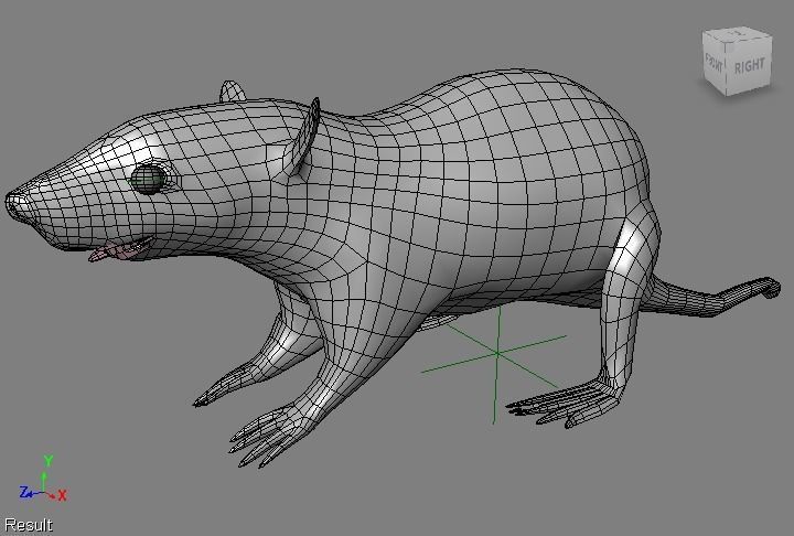RAT LOWPOLY Low-poly 3D model_9