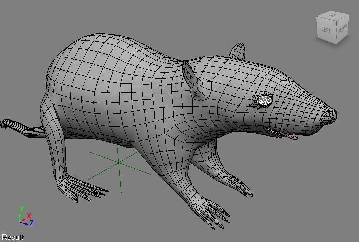 RAT LOWPOLY Low-poly 3D model_17