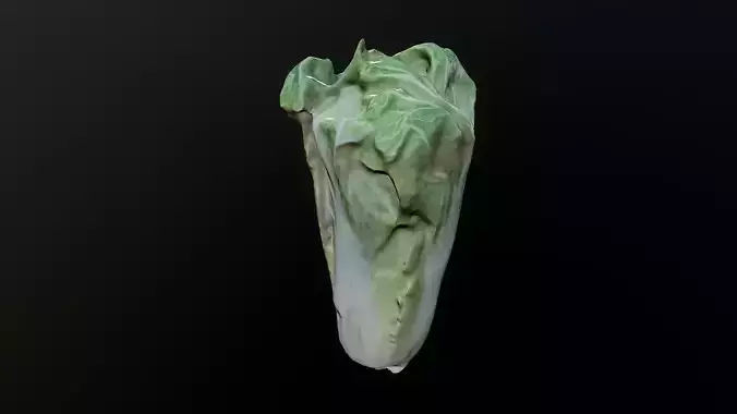 3D Scan Cabbage 02