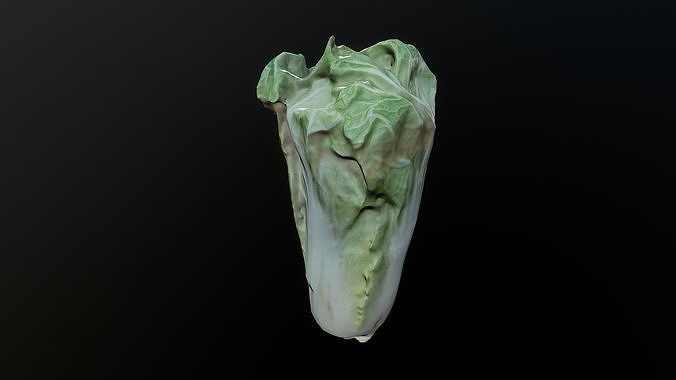 3D Scan Cabbage 02 Low-poly 3D model
