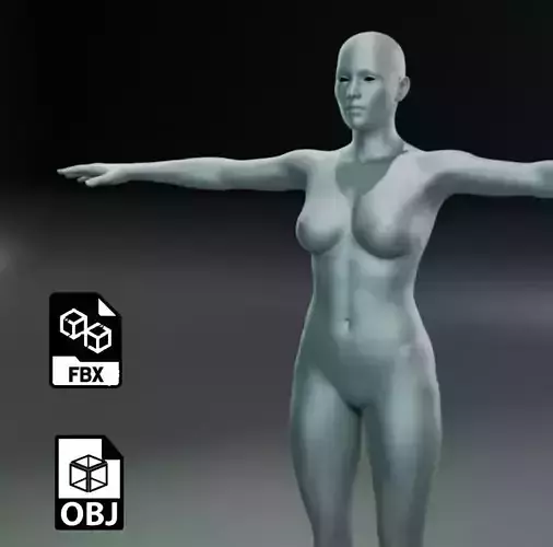 Female body base mesh