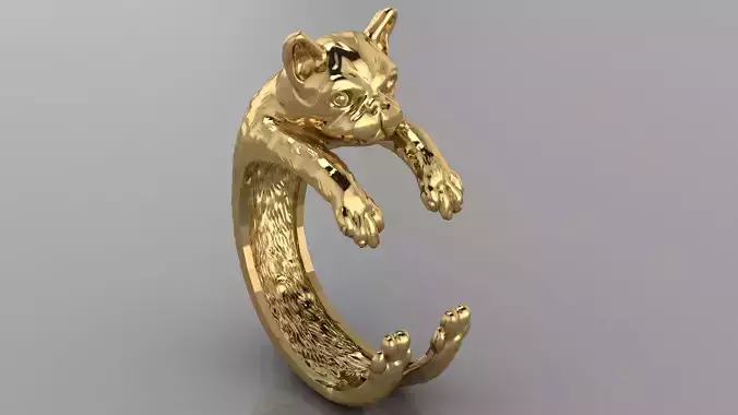 dog ring