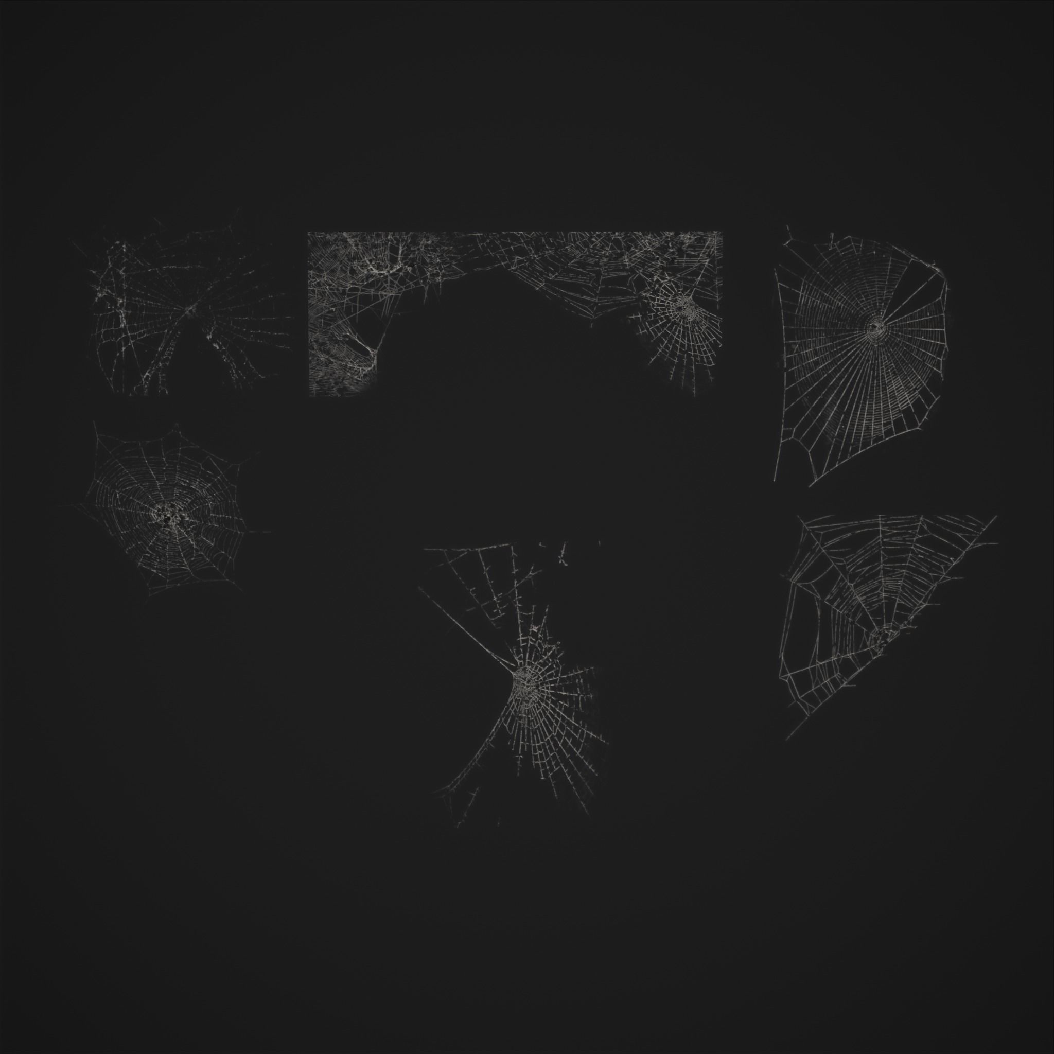 Spider Webs Low-poly 3D model_29