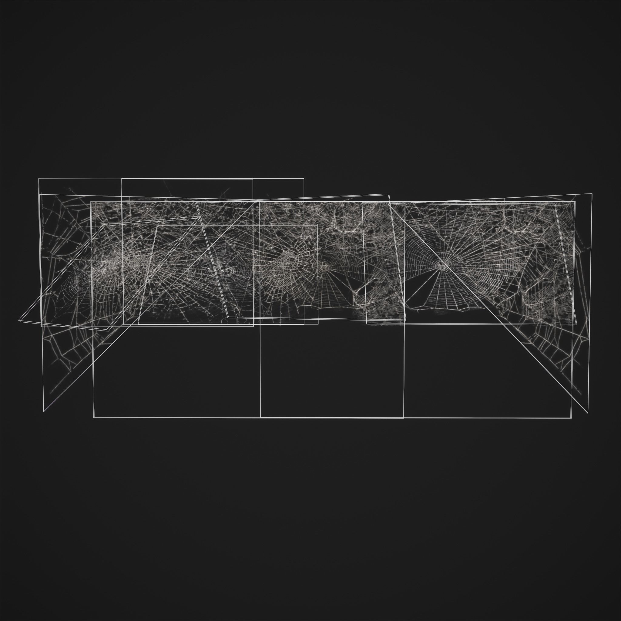 Spider Webs Low-poly 3D model_22