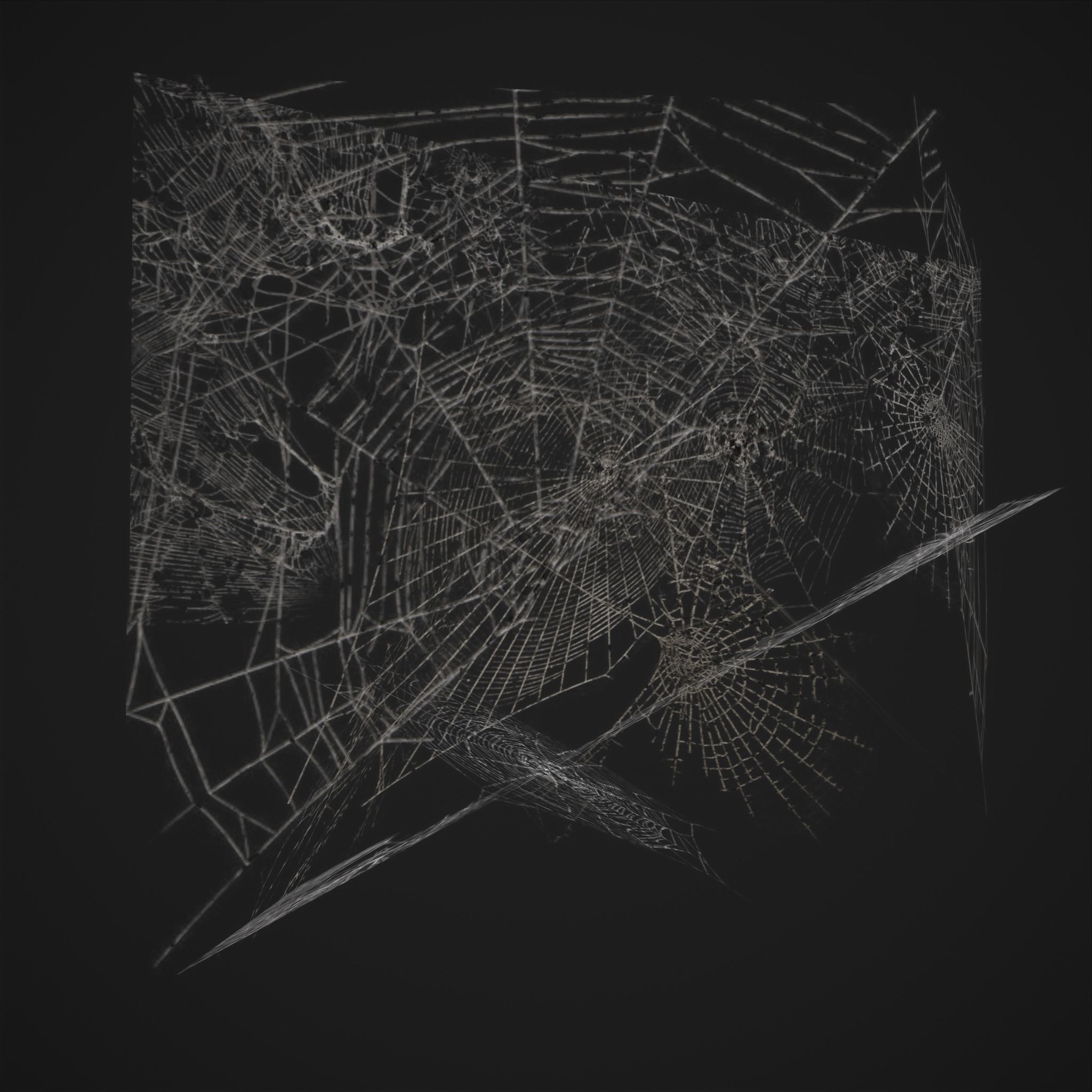 Spider Webs Low-poly 3D model_7