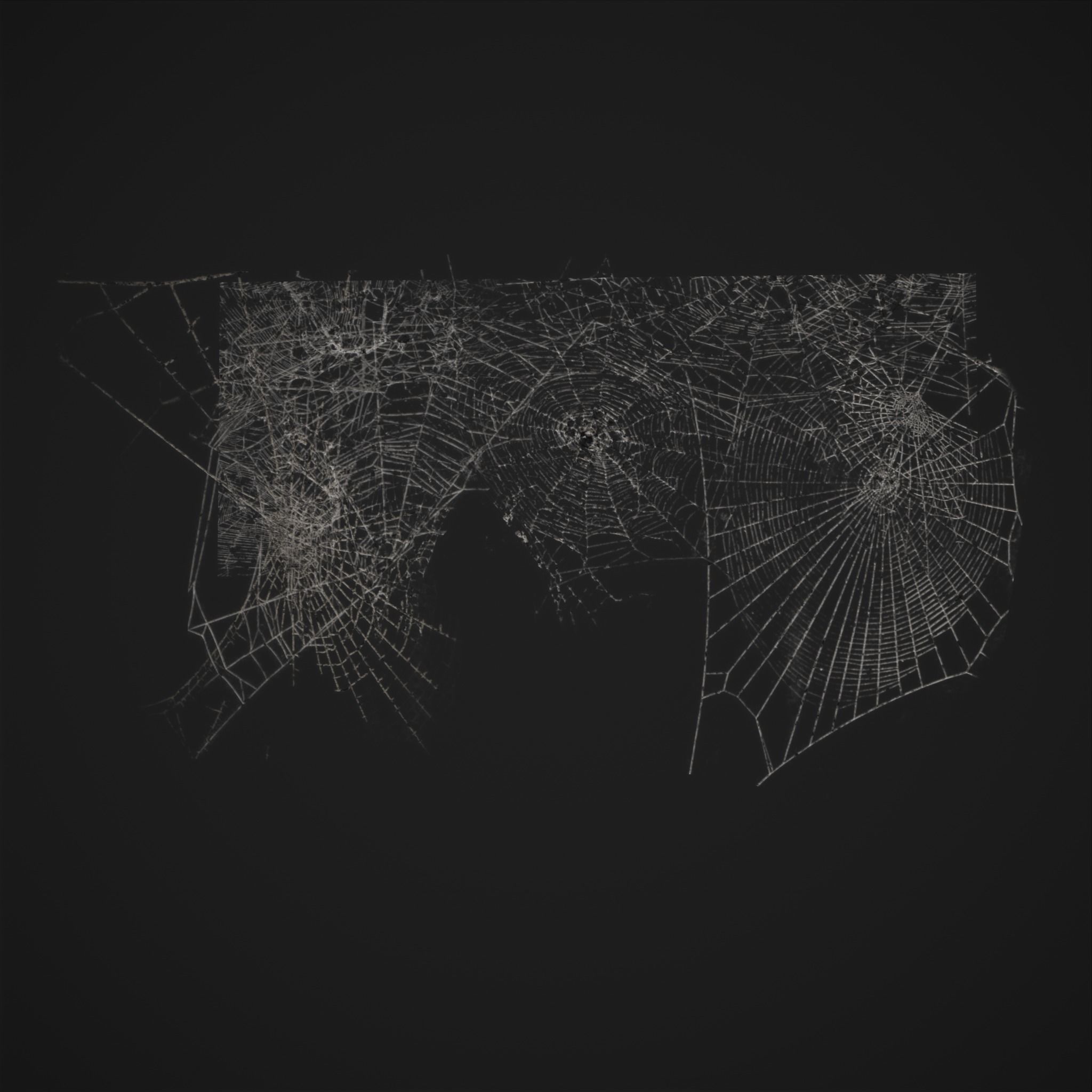 Spider Webs Low-poly 3D model_13