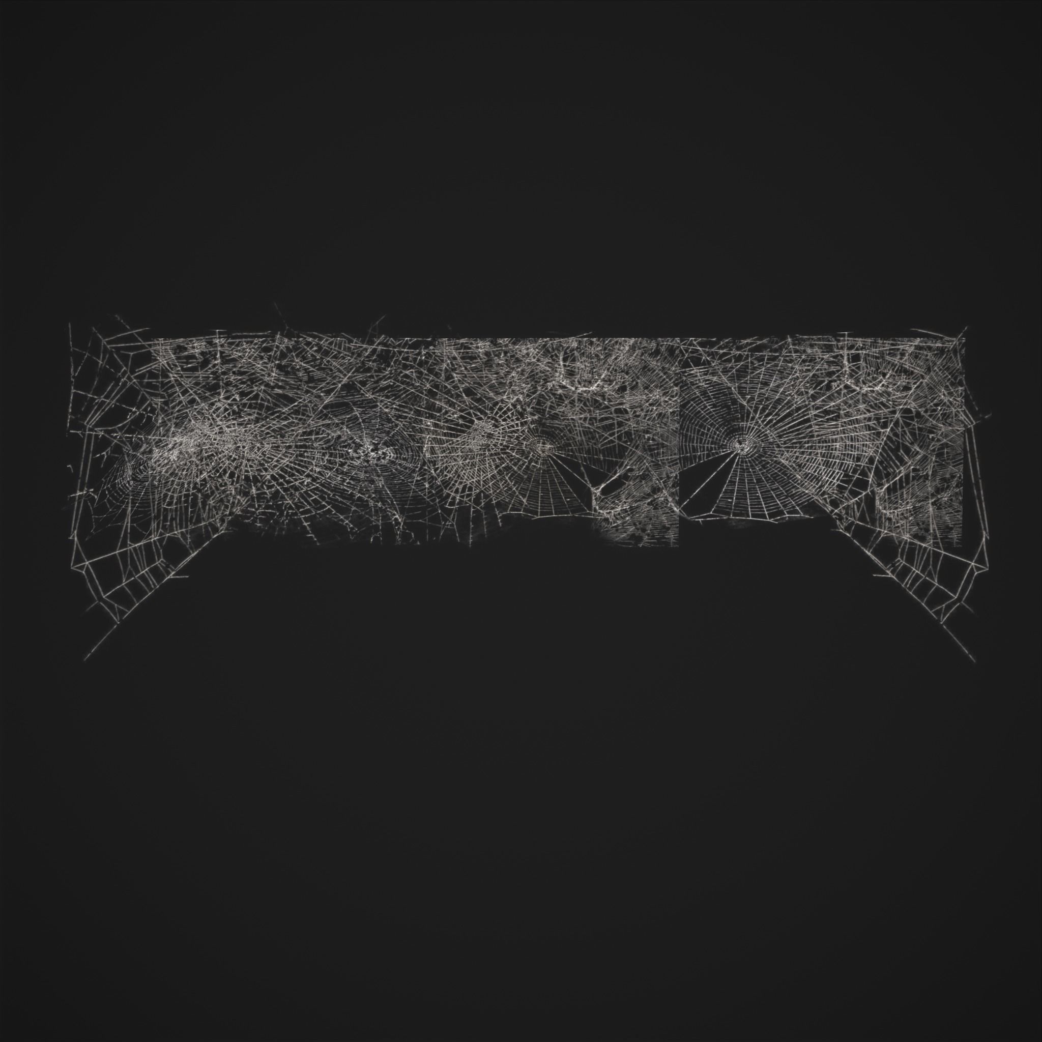 Spider Webs Low-poly 3D model_21