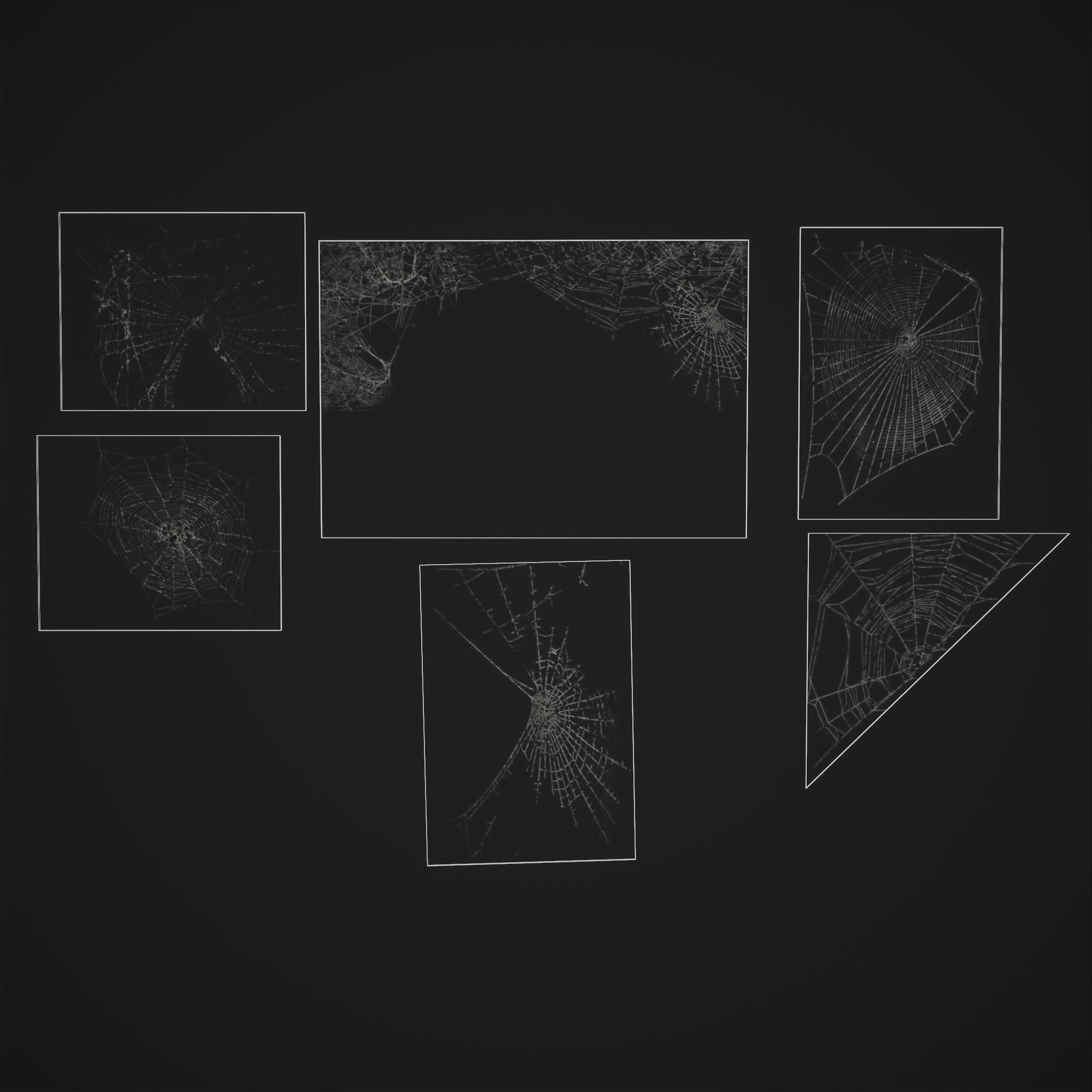 Spider Webs Low-poly 3D model_30