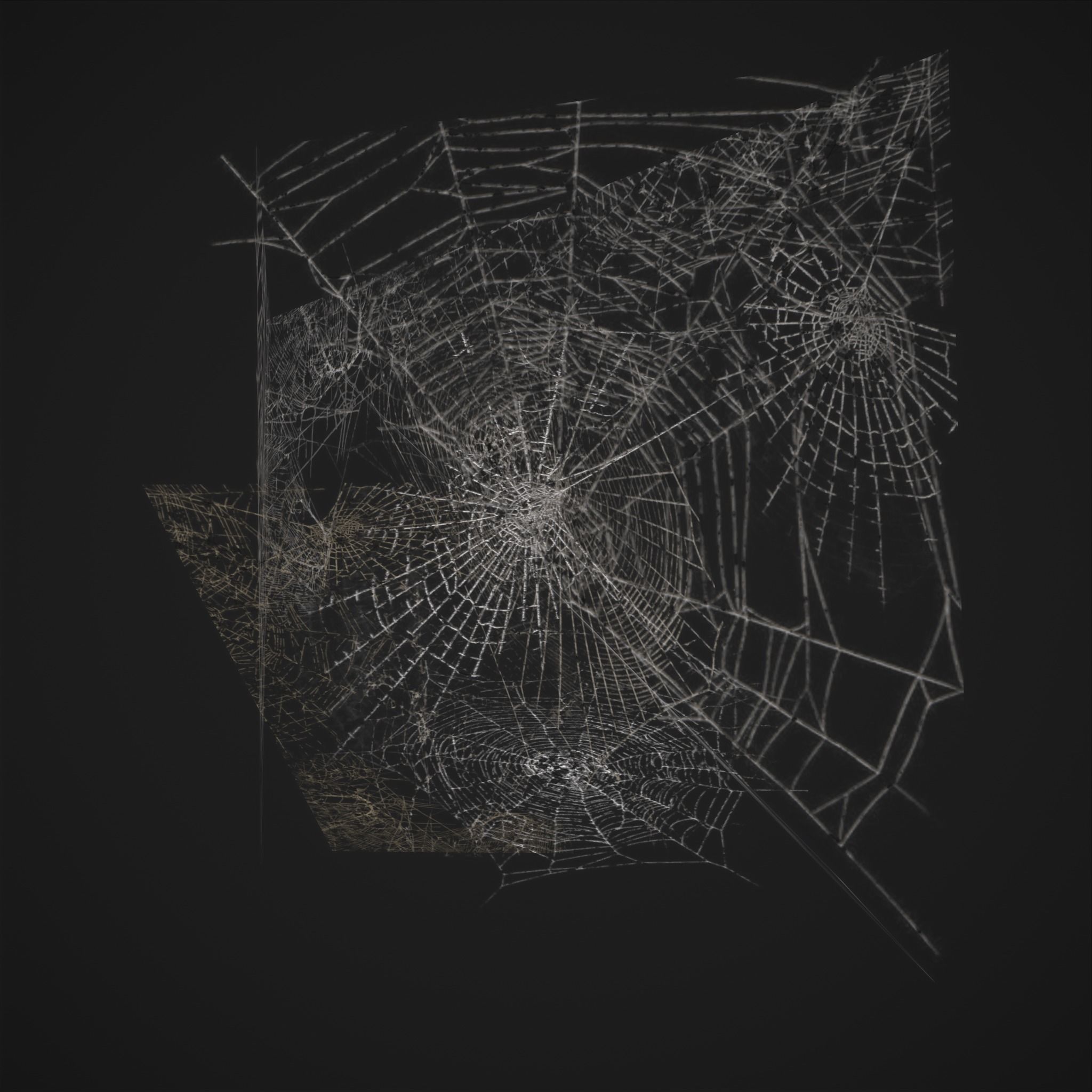 Spider Webs Low-poly 3D model_9