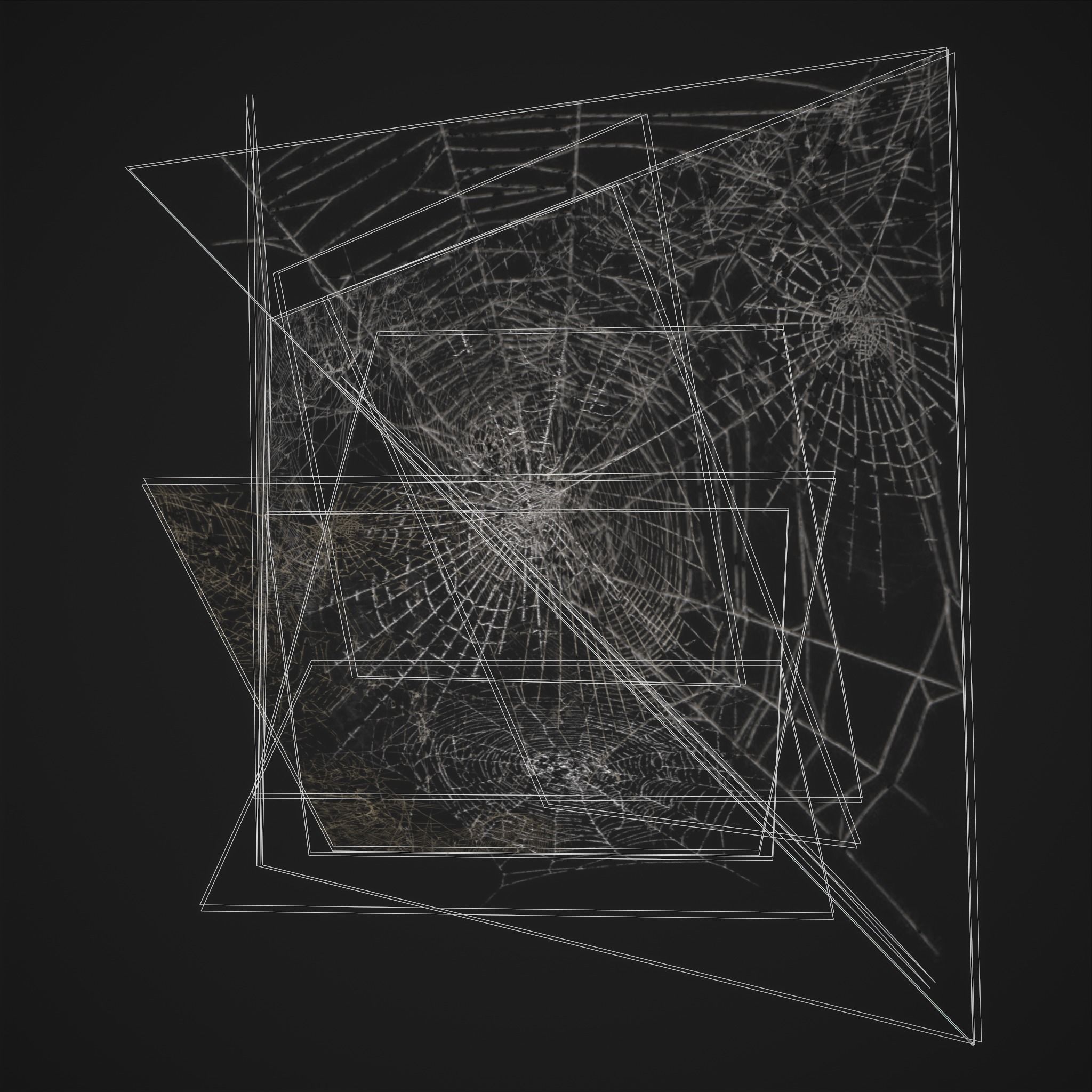 Spider Webs Low-poly 3D model_10