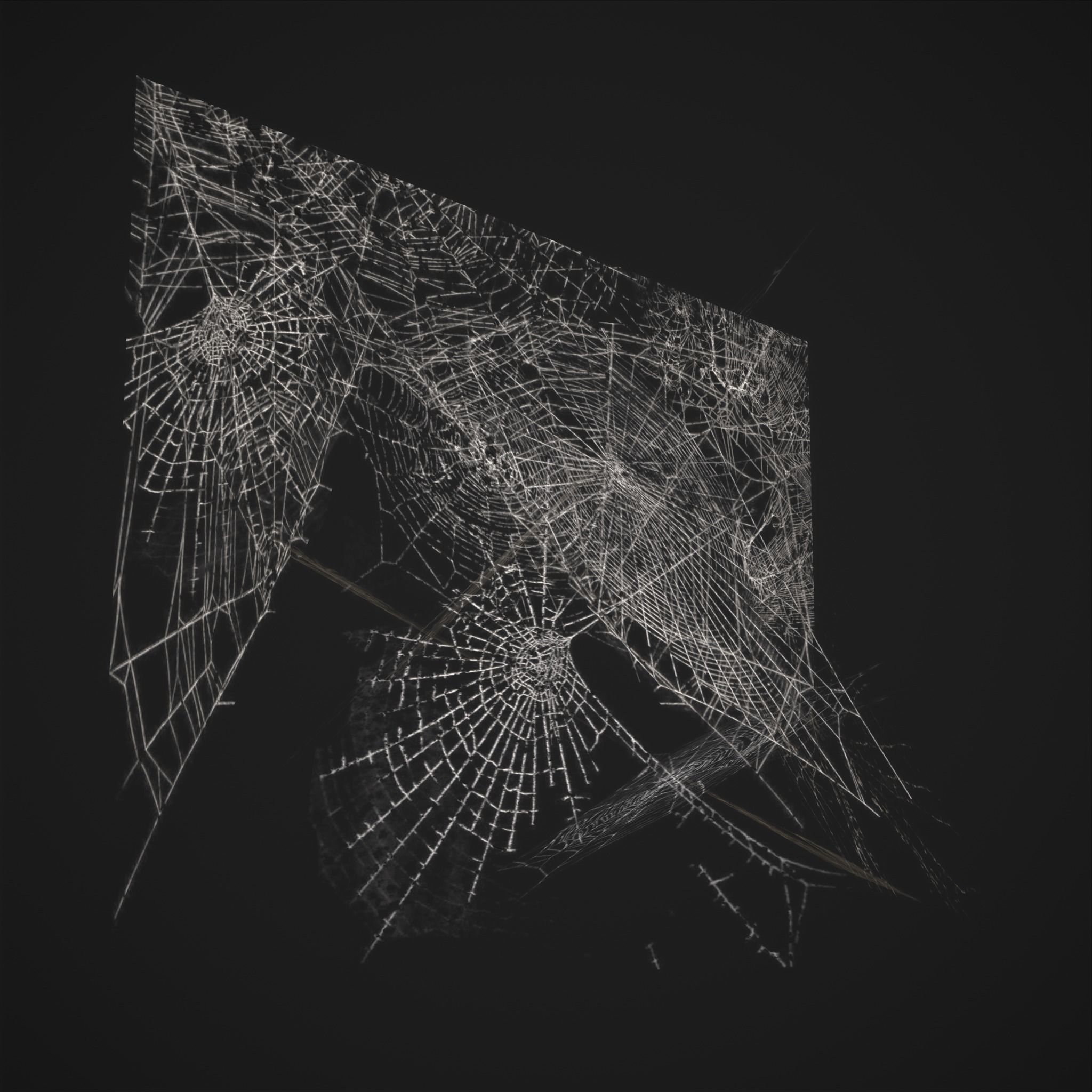 Spider Webs Low-poly 3D model_11
