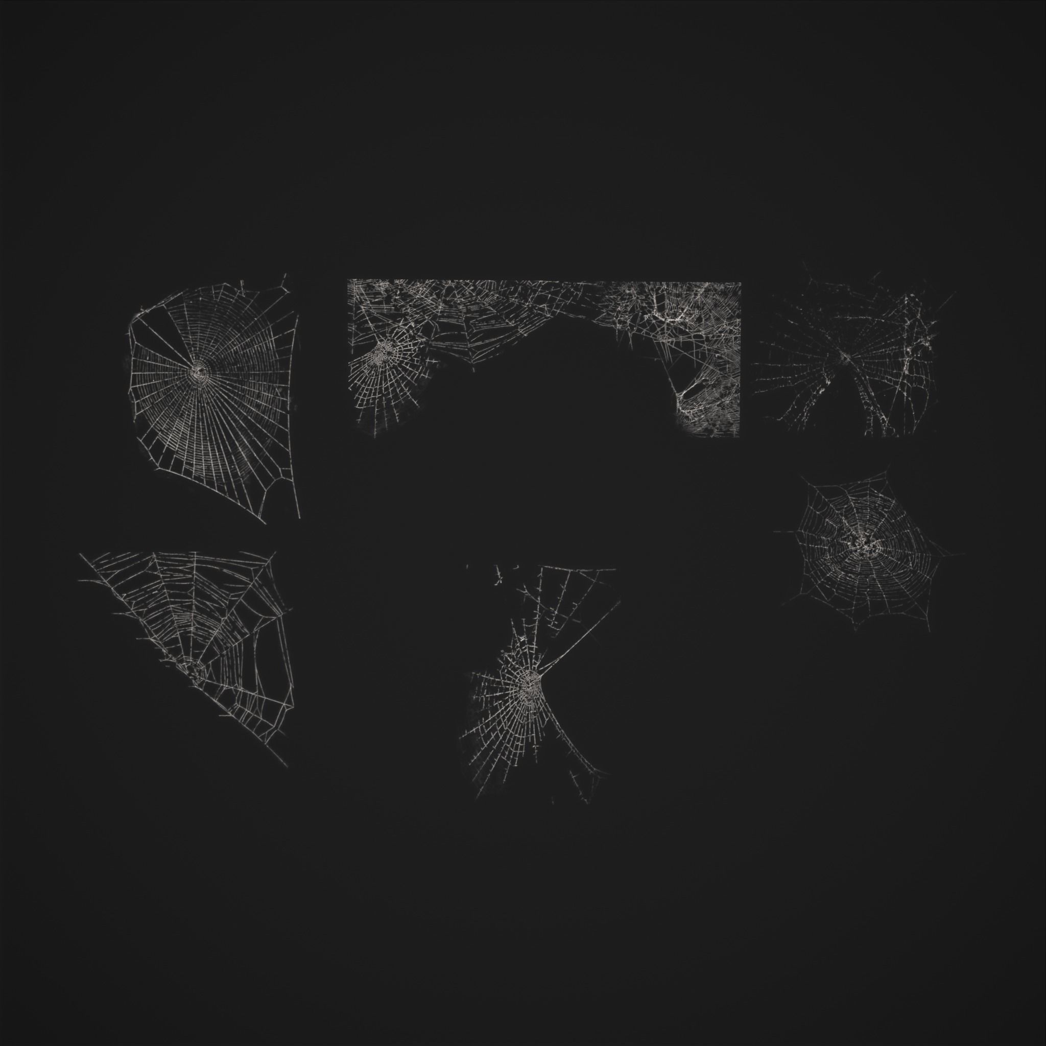 Spider Webs Low-poly 3D model_36