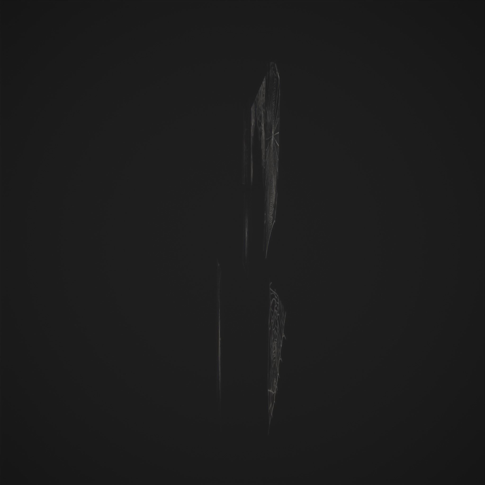 Spider Webs Low-poly 3D model_31