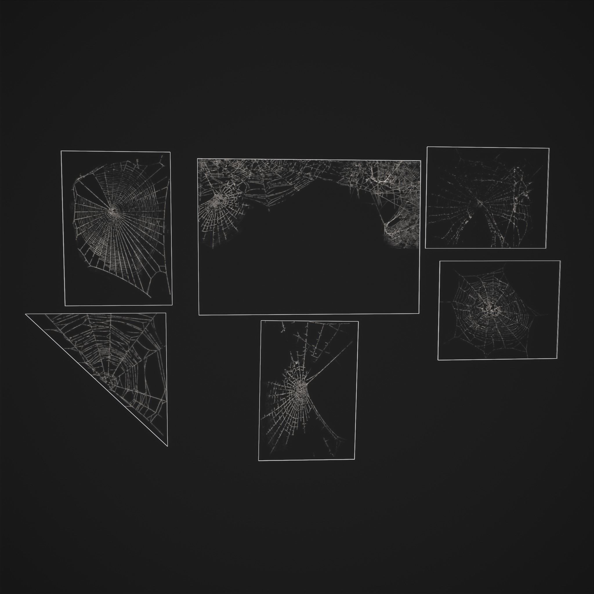 Spider Webs Low-poly 3D model_35