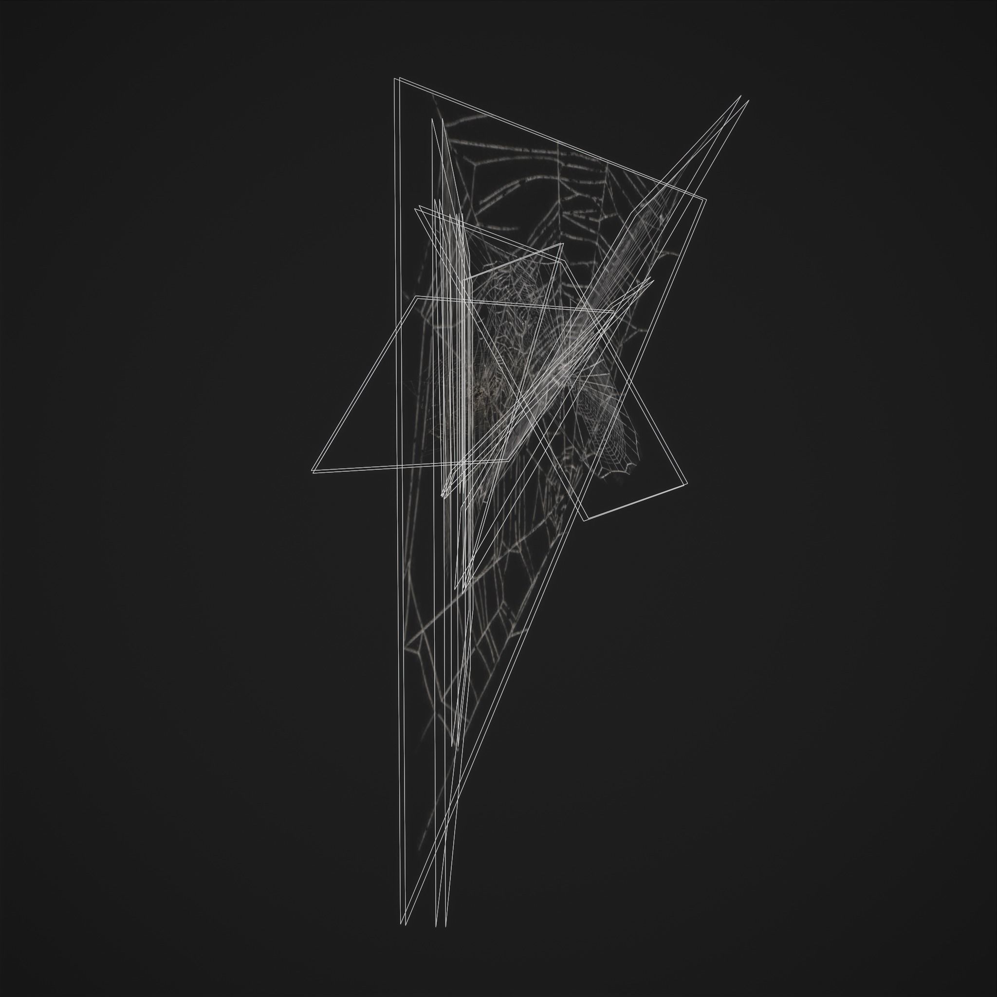 Spider Webs Low-poly 3D model_24