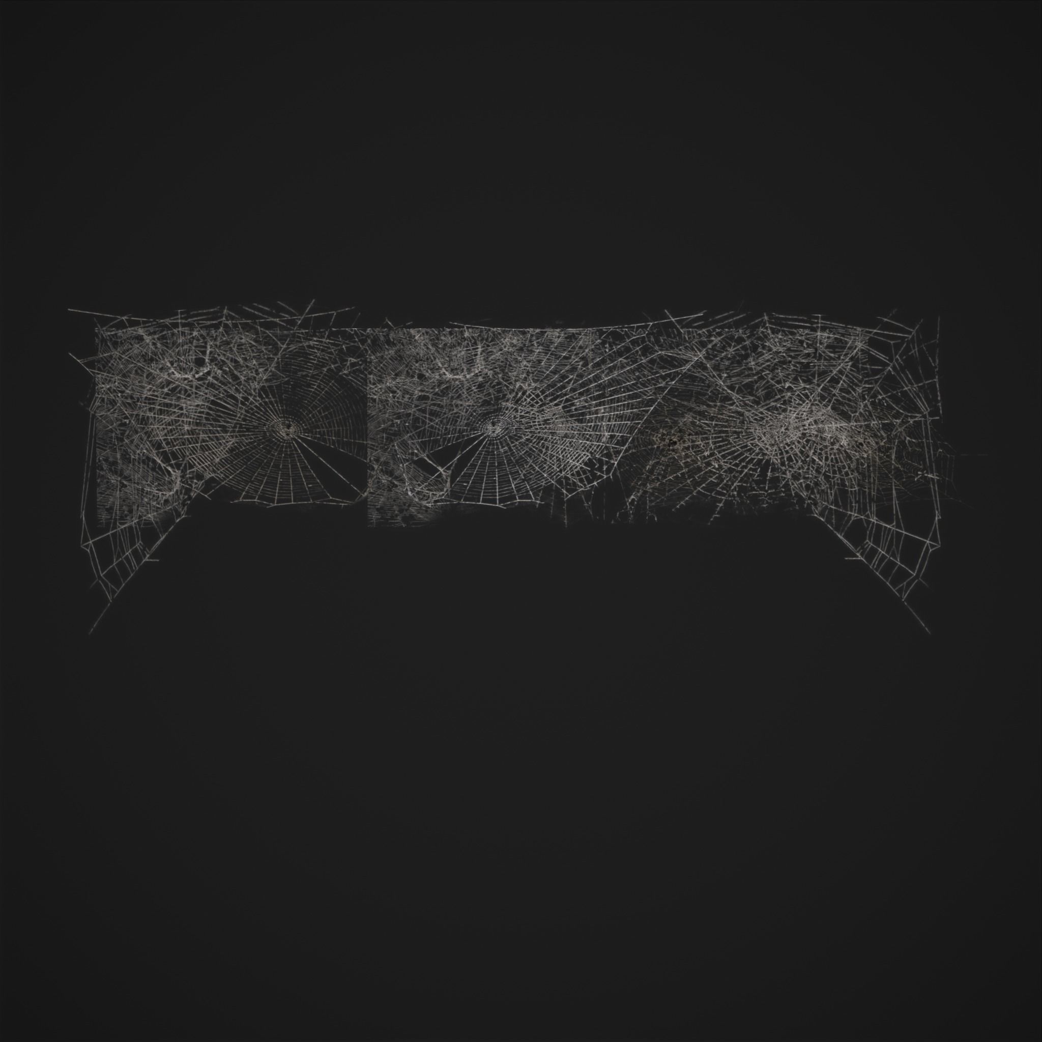 Spider Webs Low-poly 3D model_25