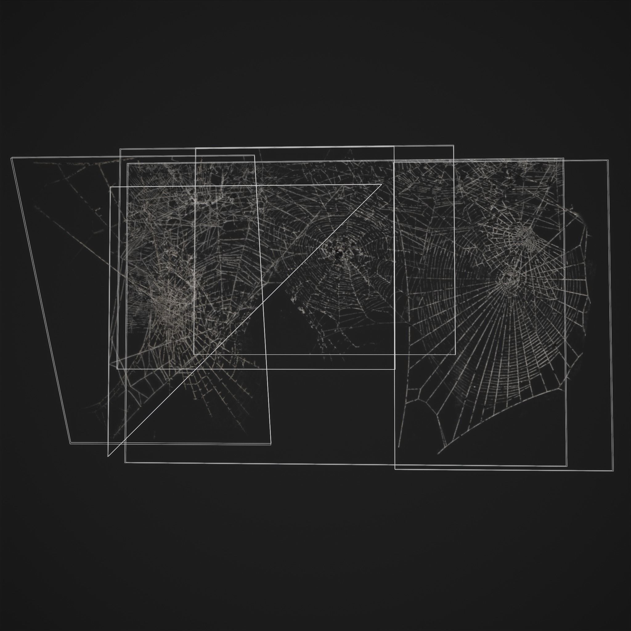 Spider Webs Low-poly 3D model_14