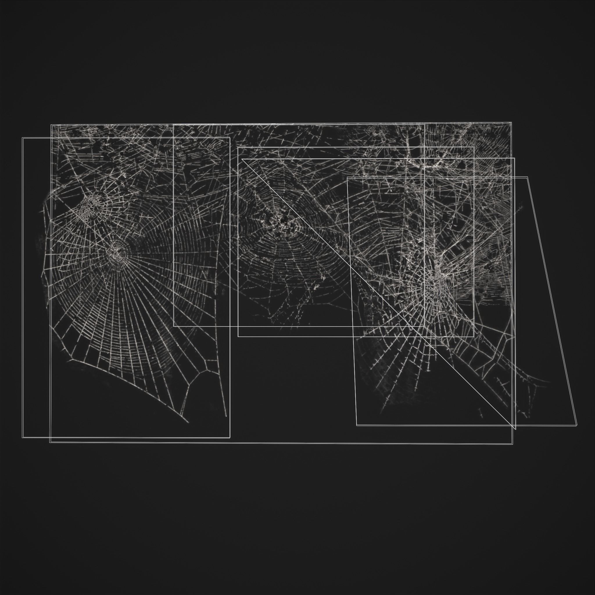 Spider Webs Low-poly 3D model_16