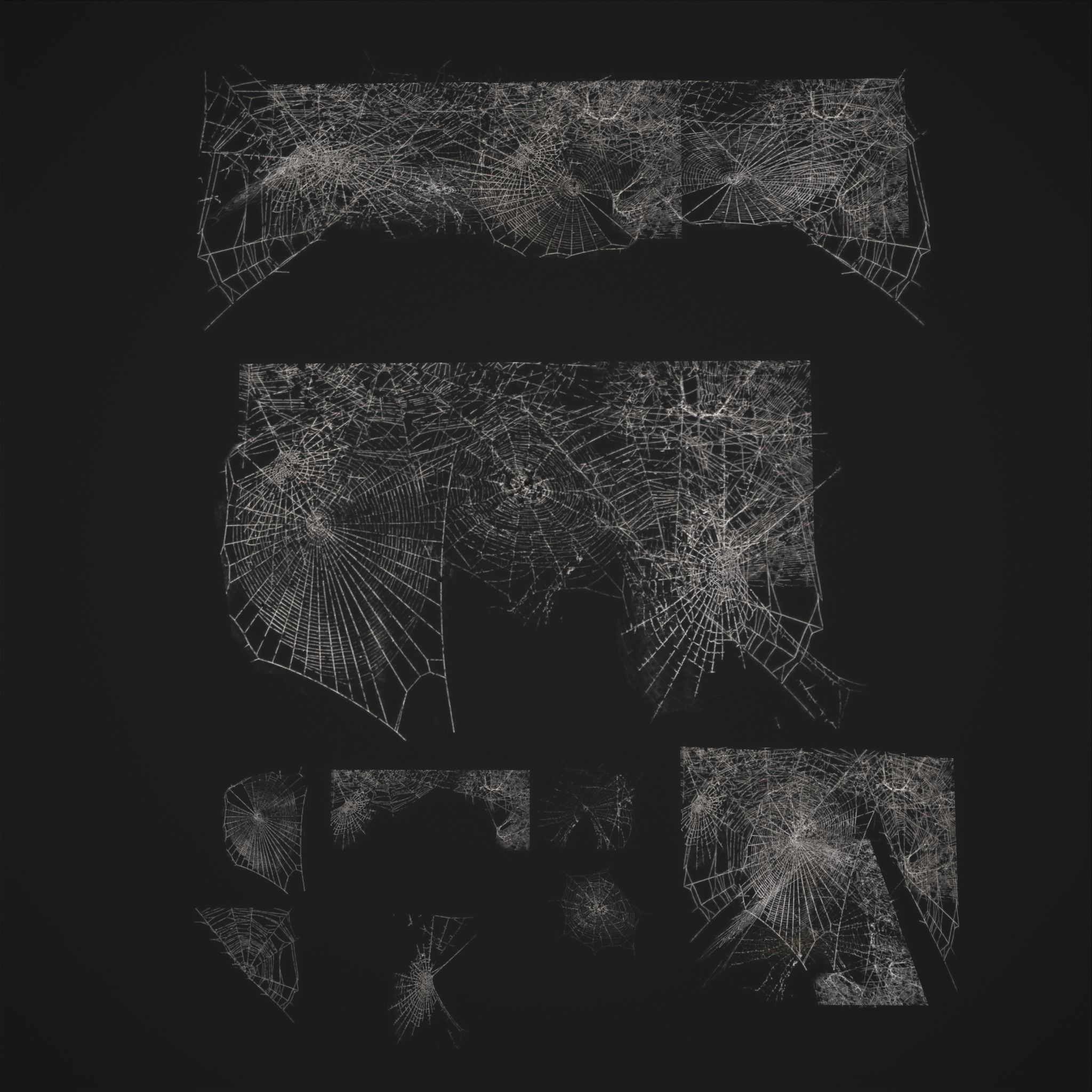 Spider Webs Low-poly 3D model_3