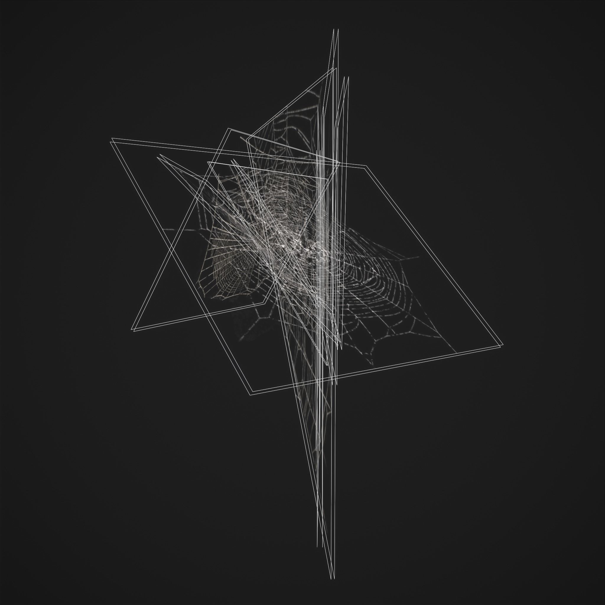 Spider Webs Low-poly 3D model_28