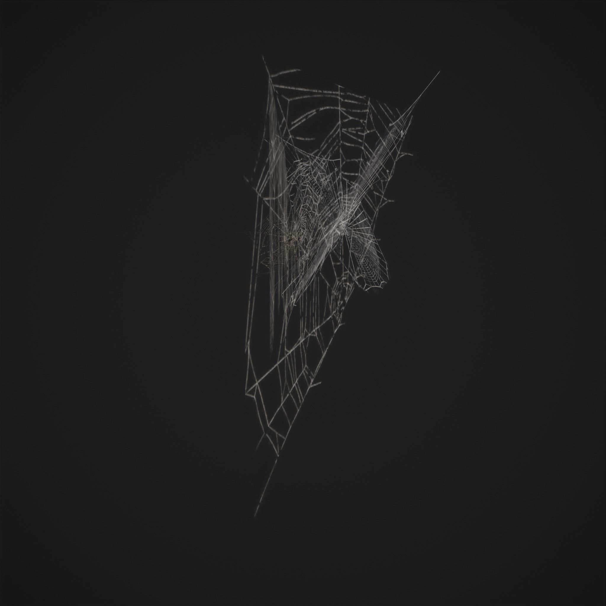 Spider Webs Low-poly 3D model_23