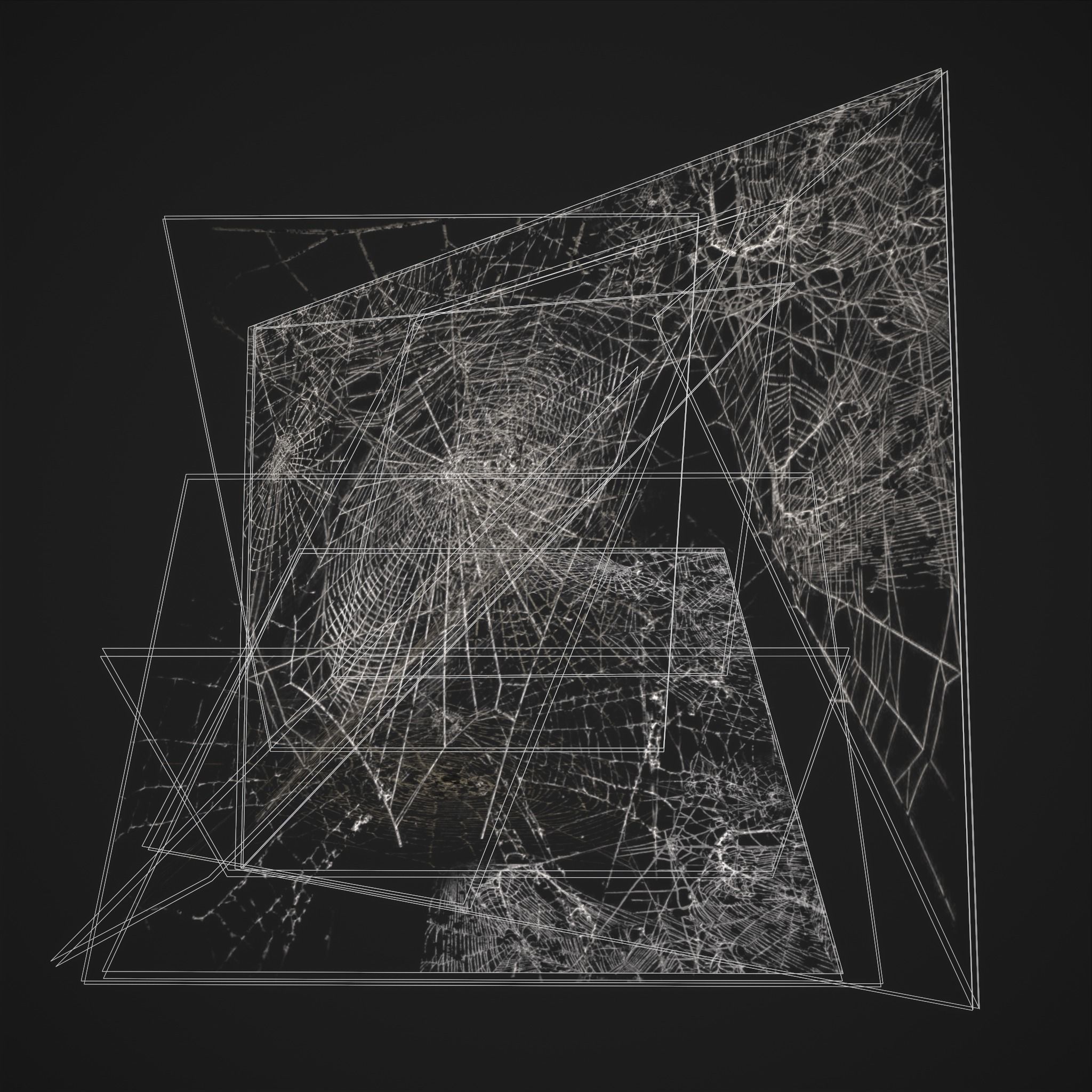 Spider Webs Low-poly 3D model_6