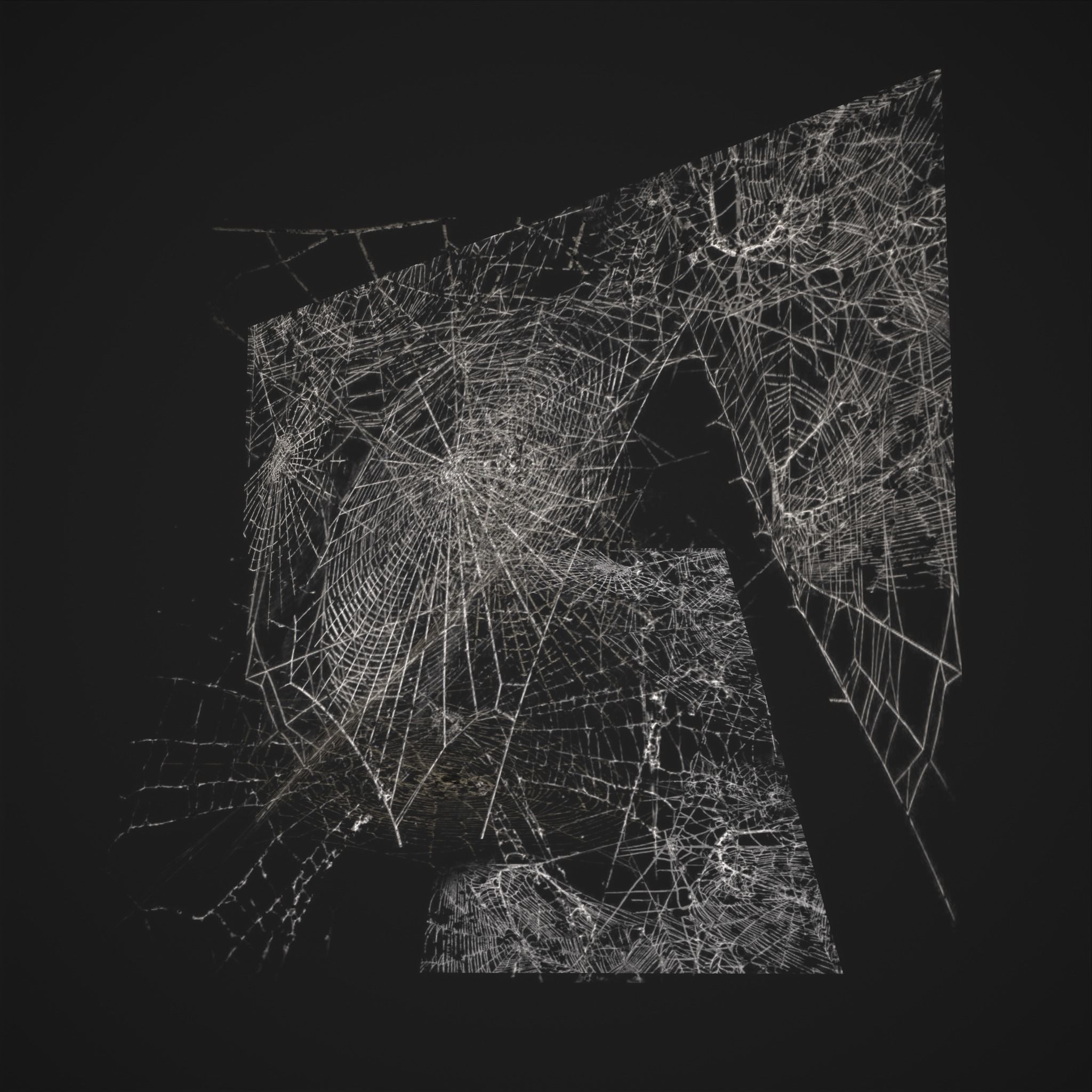 Spider Webs Low-poly 3D model_5