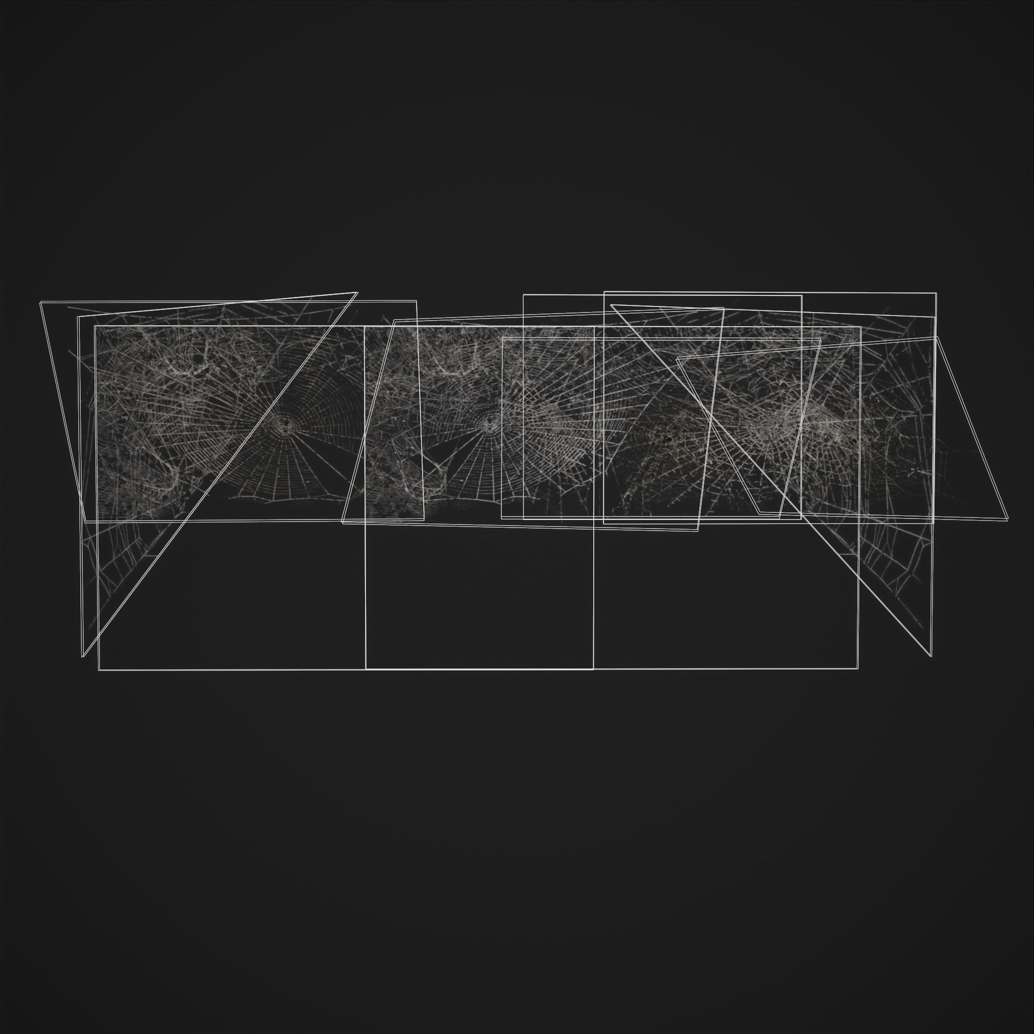 Spider Webs Low-poly 3D model_26