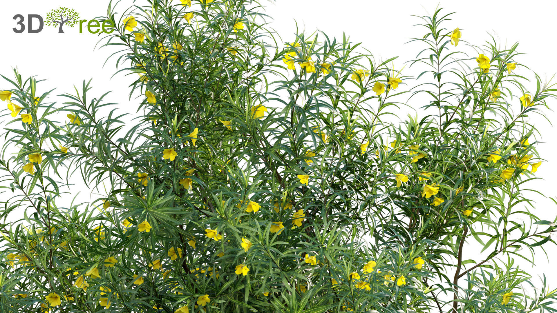 Chinese garden  3D model_43