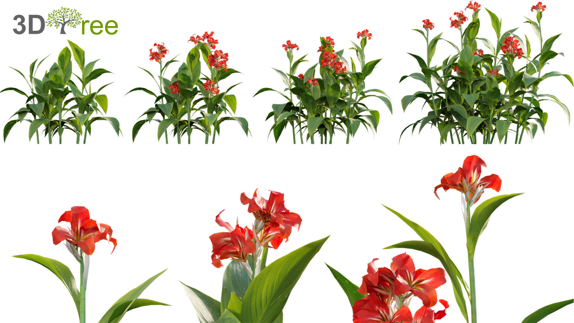 Chinese garden  3D model_38