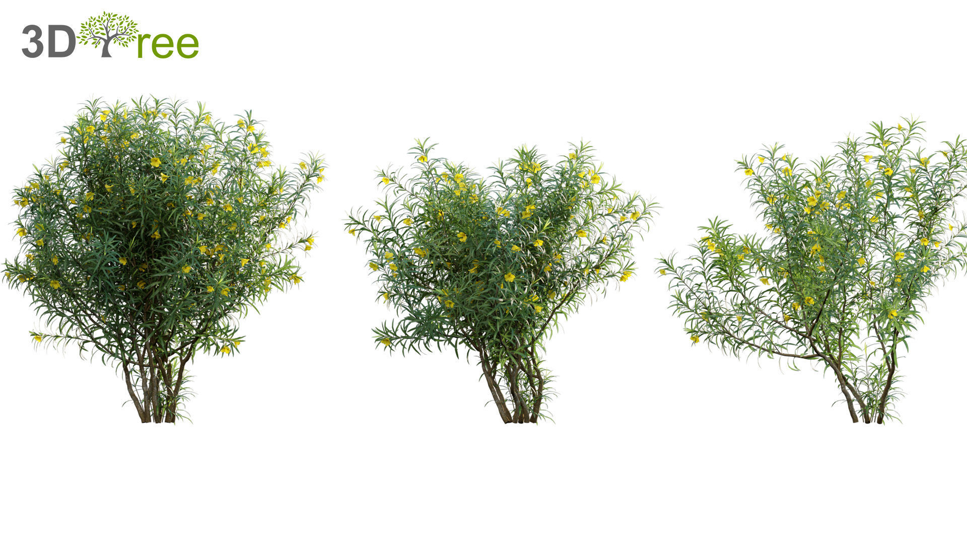 Chinese garden  3D model_44