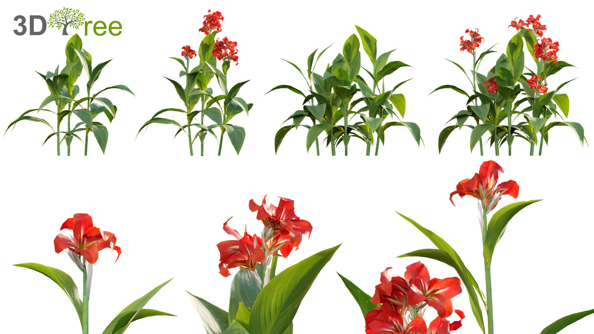 Chinese garden  3D model_36