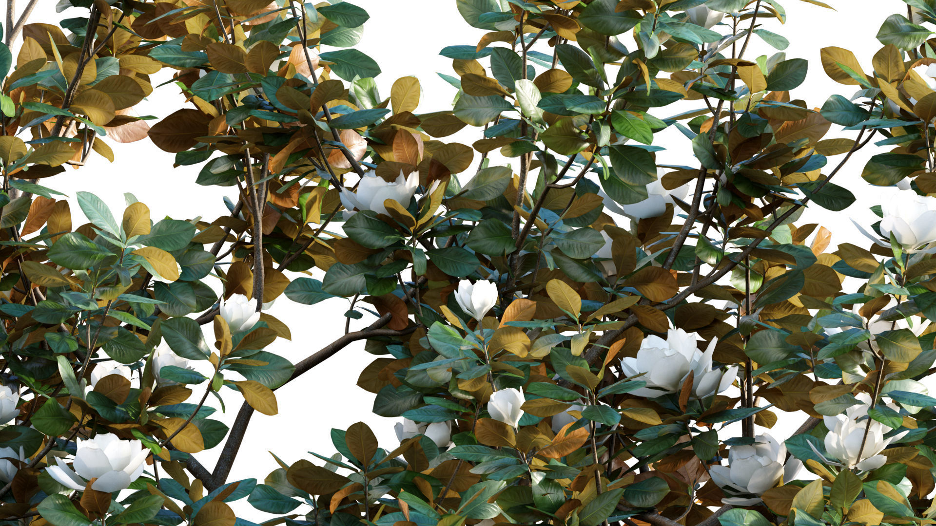 Chinese garden  3D model_18