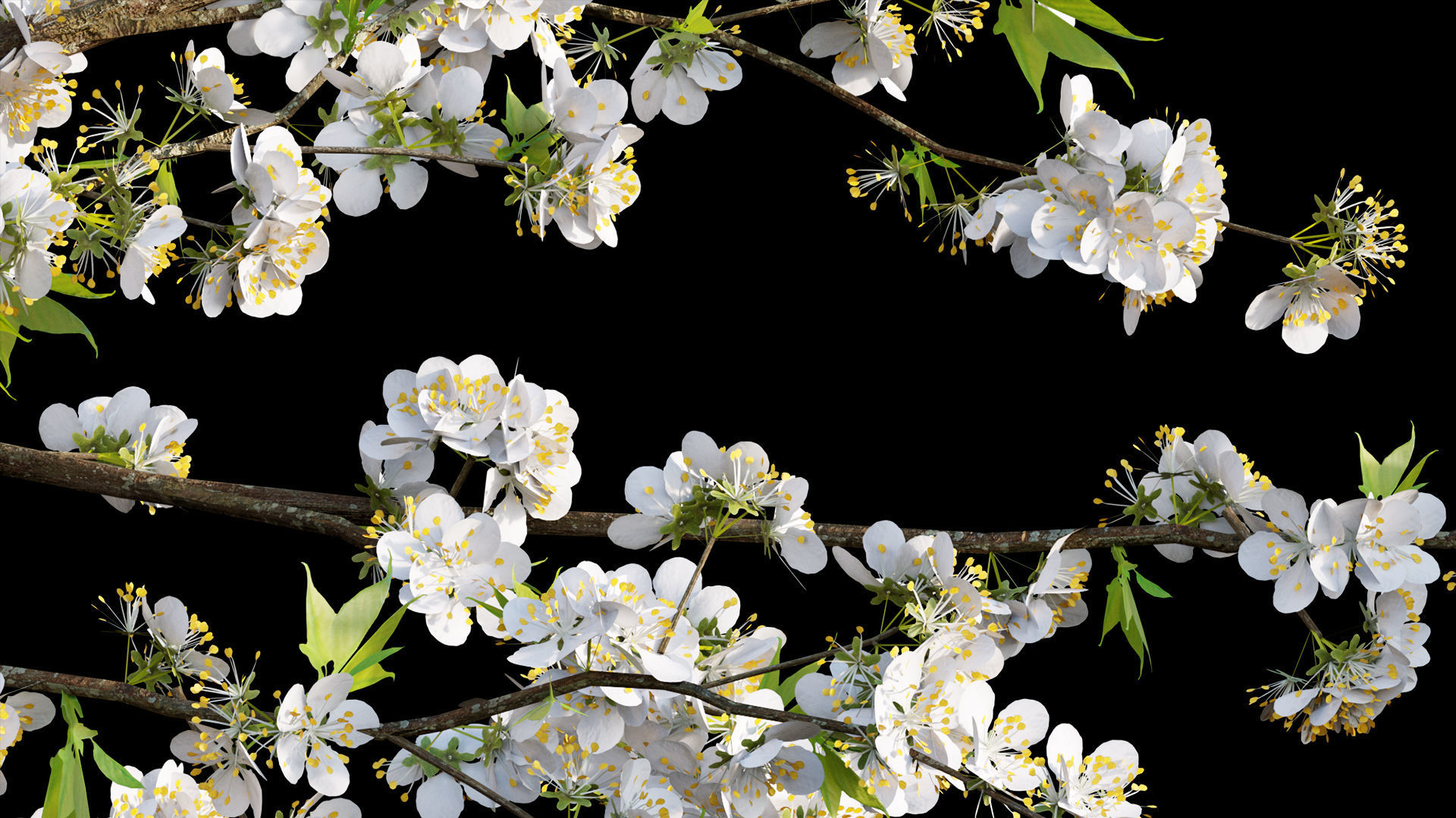 Chinese garden  3D model_34