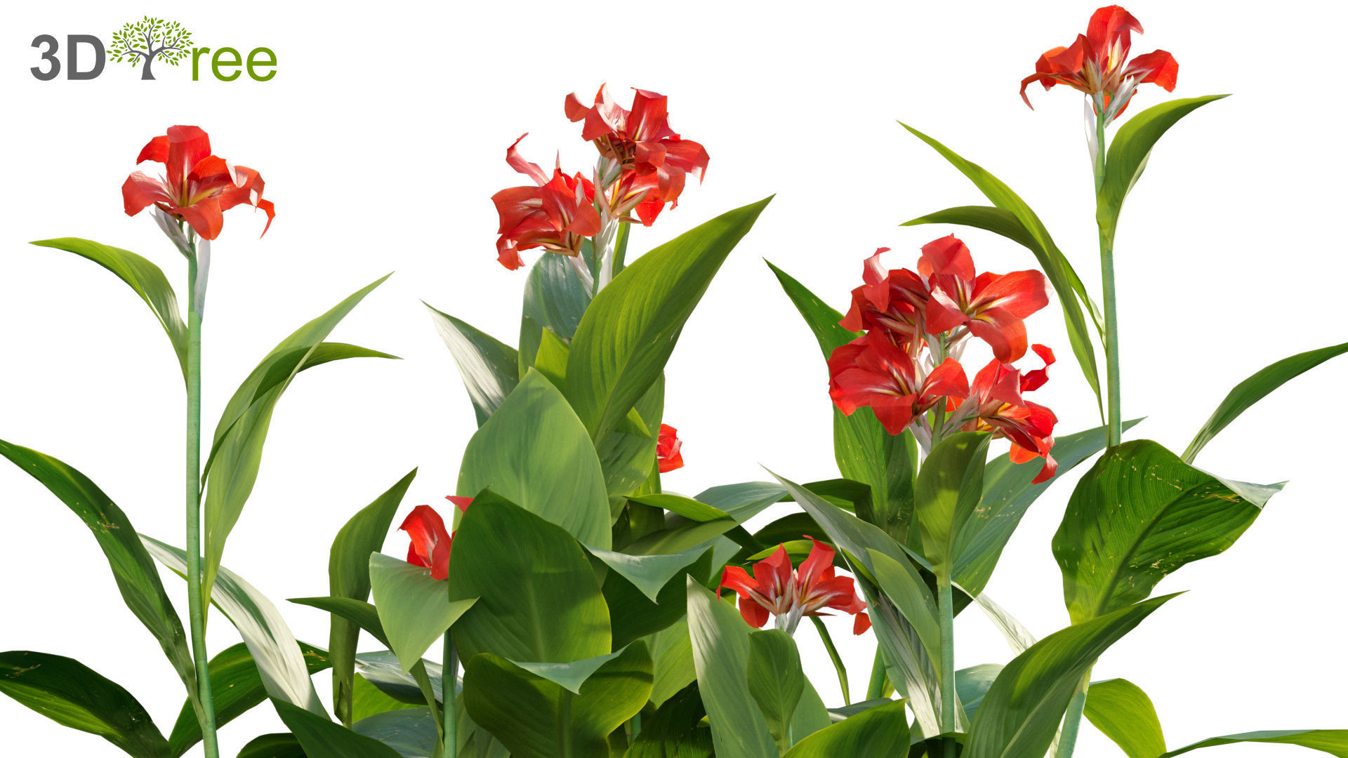 Chinese garden  3D model_37