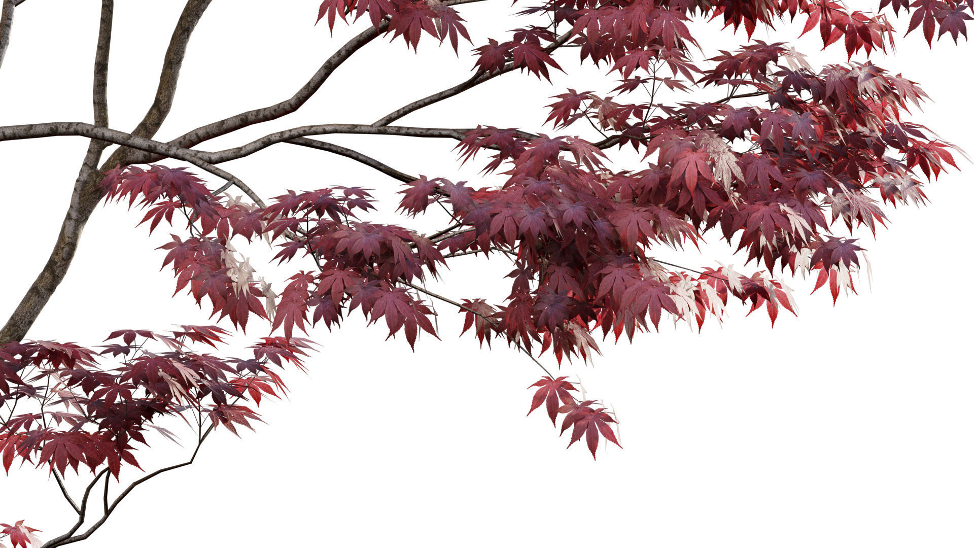 Chinese garden  3D model_3