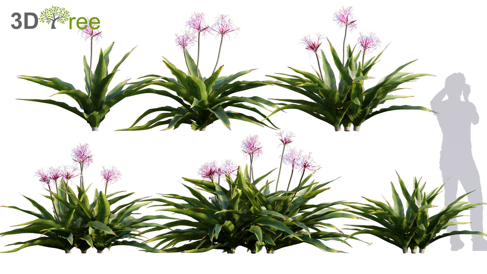 Chinese garden  3D model_10