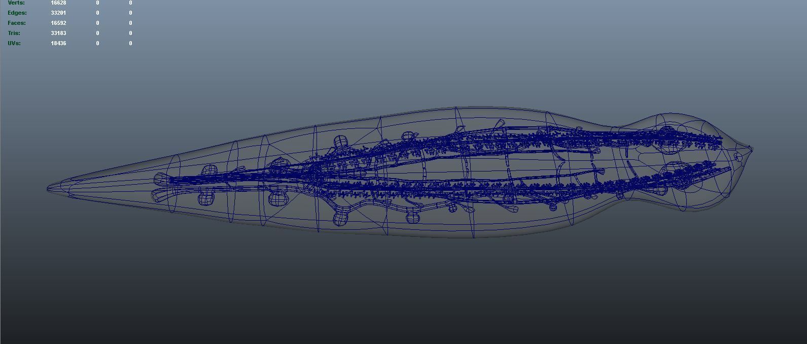 planarian flatworm 3D model_9