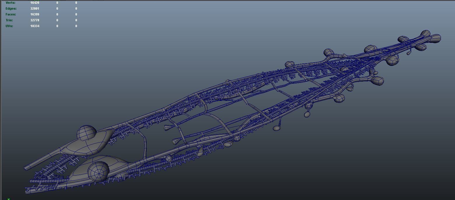 planarian flatworm 3D model_11