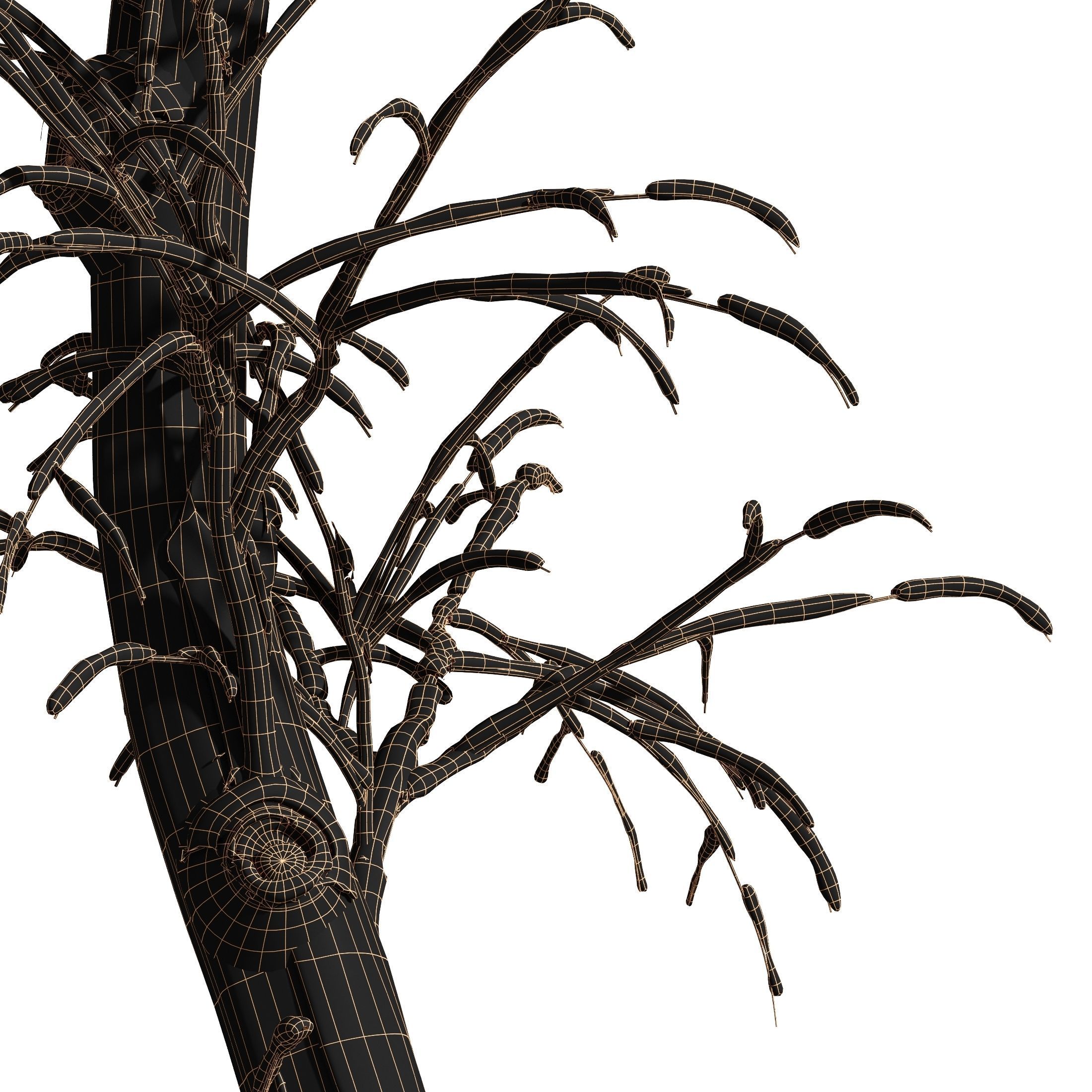 Real Tree Ulmus changii Winter 3D model_3
